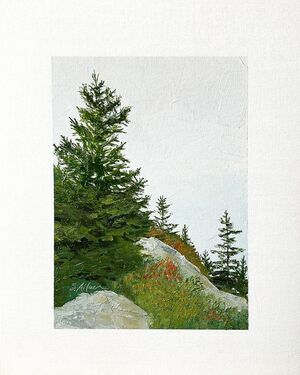 8x10 Maine Original Oil Painting Acadia Landscape Cadillac Mountain Pines Signed